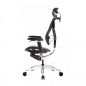    GT Chair VIDA X